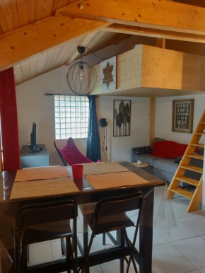 Studio Résidence Les Mélèzes des Chaumattes
